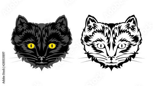 Black and contoured head of domestic cat