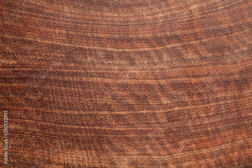 Brown ironwood texture background. Cross section. photo