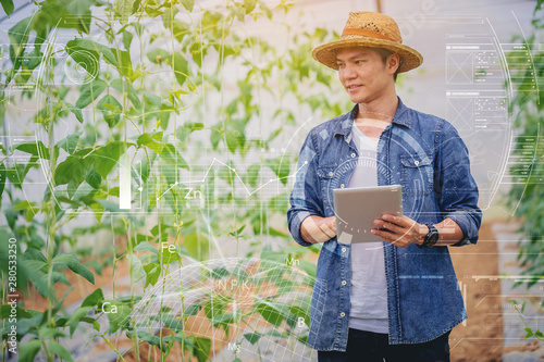 Farmer owner using smartpad in greenhouse checking quality and read a report for his watermelon farm. Iot smart agriculture concept.. © Panumas