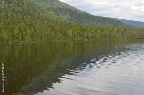 forest lake at the Kola peninsula