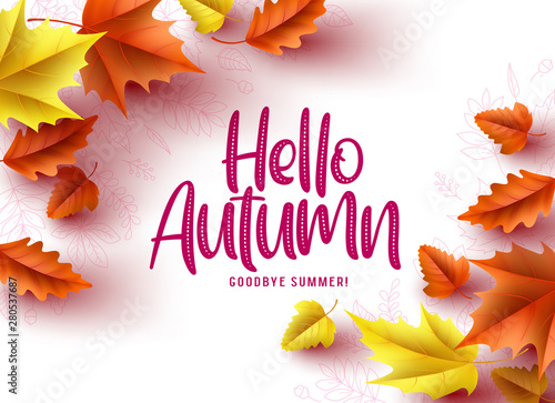 Hello autumn vector greeting background design. Autumn seasonal greeting text, dry oak and maple leaves in a white pattern background. Vector illustration.