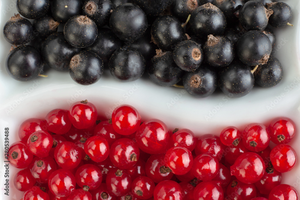 Black and red currant berries closeup Black and red currant berries closeup