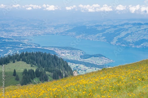 Beautiful swiss alps mountains. Alpine meadows.