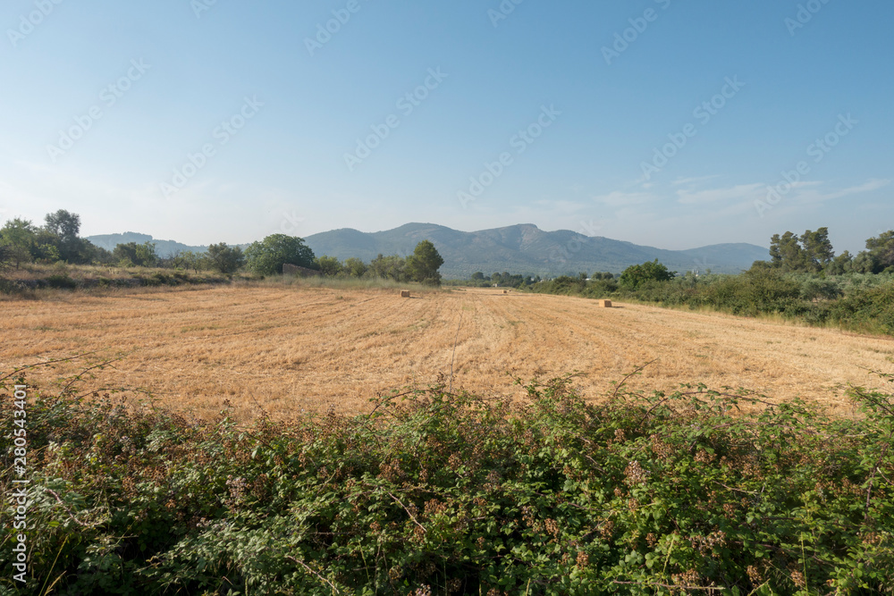 Fototapeta premium The august road between Sant mateu and Tortosa
