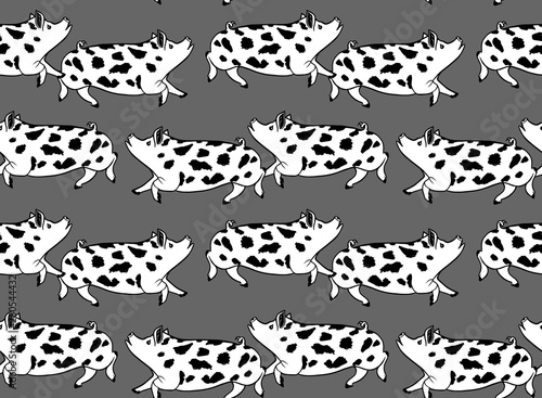 Pattern white pigs with black spots on a gray background