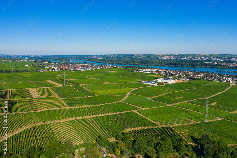Blick von oben auf die Felder und Weinberge rund um Oestrich-Winkel/Deutschland im Rheingau