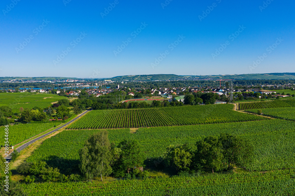 Blick von oben auf die Felder rund um Oestrich-Winkel/Deutschland im Rheingau