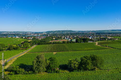 Blick von oben auf die Felder rund um Oestrich-Winkel Deutschland im Rheingau