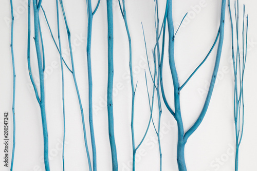 Blue branches on white background. Close-up, front view