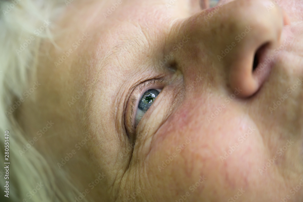 Forest reflected in woman's eye. Forest reflected in woman's eye.