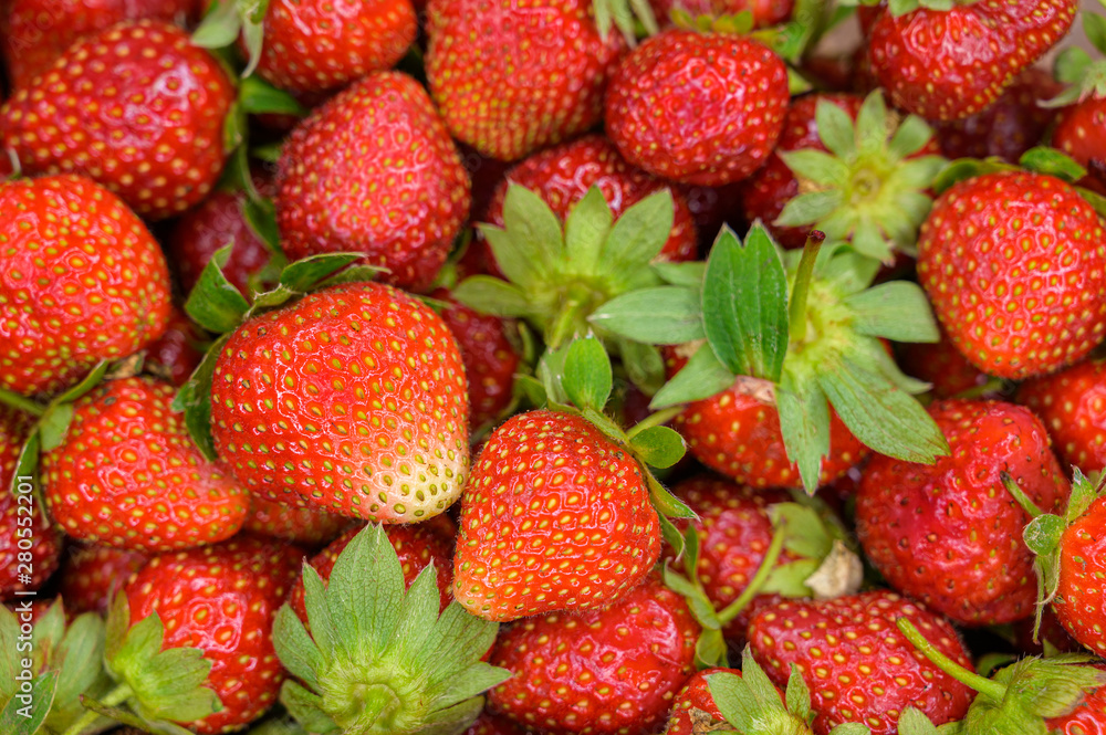 Natural looking fresh red strawberry. Macro with shallow depth of field. Natural looking fresh red strawberry. Macro with shallow depth of field.