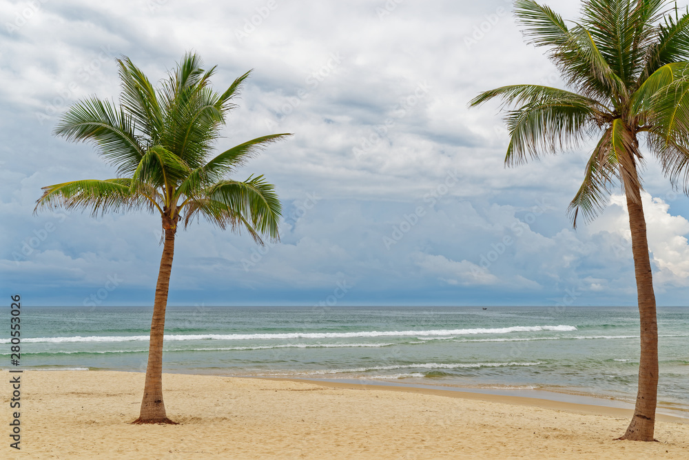 Scenic view of two palm trees on sandy beach