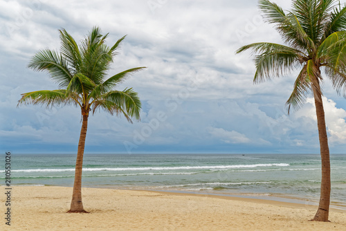 Fototapeta Naklejka Na Ścianę i Meble -  Scenic view of two palm trees on sandy beach