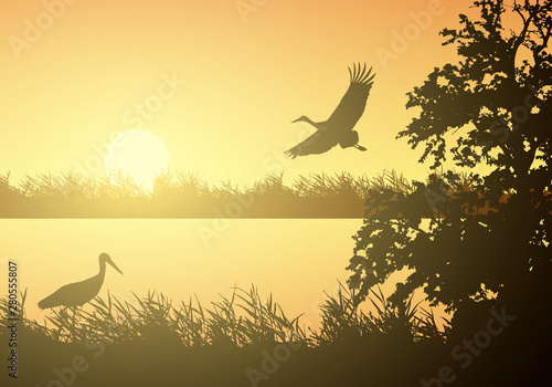 Realistic illustration of wetland landscape with river or lake, water surface and birds. Stork flying under orange morning sky with rising sun, vector photo