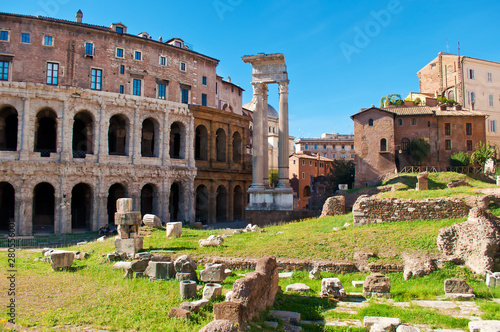 View of many stones and ruins before Temple of Apollo Medicus Sosianus and Teatro Marcello photo