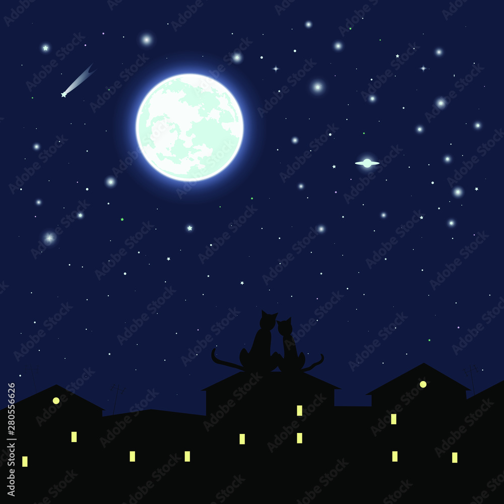 Fototapeta premium vector full moon. glowing halo. comets and planets. starry sky. roofs of houses. two cats on the roof. can be used as a background, postcard, pattern on clothes, scrapbooking, book illustration