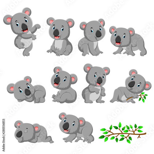 Collection of happy koala with various posing