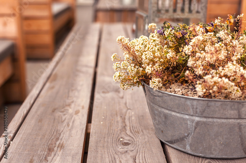 Potted heather flowers on wooden table outdoors