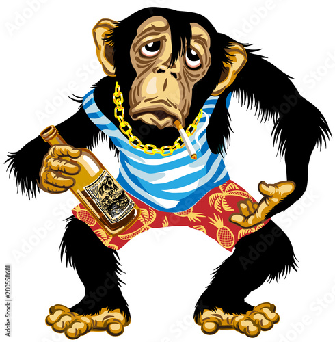 cartoon drunk chimpanzee great ape with golden chain on the neck and holding empty bottle of alcohol, wearing sailor shirts and shorts. Chimp monkey alcoholic smoking a cigarette in vacation. Isolated
