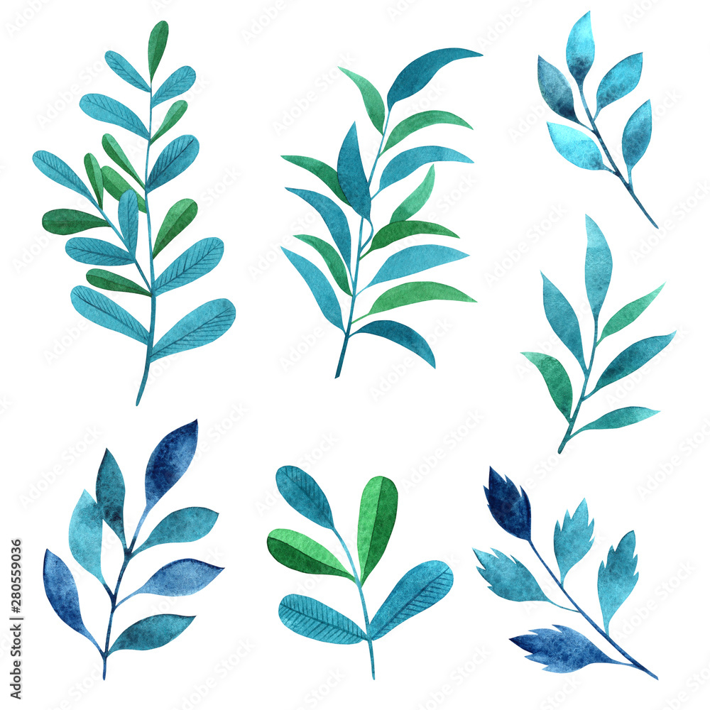 Fototapeta premium Set watercolor elements - herbs, leaf. Collection garden and wild, forest herb, branches. Illustration isolated on white background.