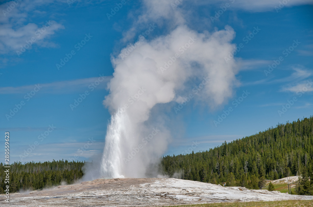 Eruption of Old Faithful Geyser, main attraction of Yellowstone National Park.