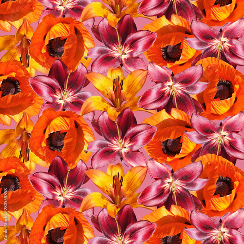 Beautiful floral background of lilies and poppy. Isolated