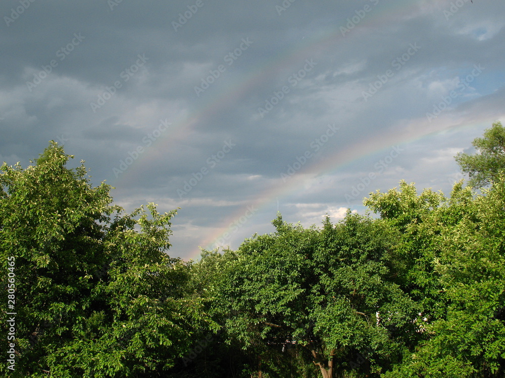 Double rainbow in a stormy sky above the crowns trees of the garden