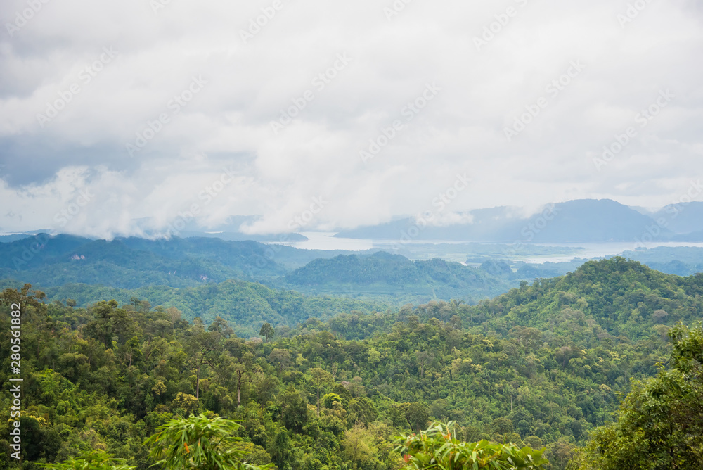 Fototapeta premium The forest with fog after raining.Thailand.