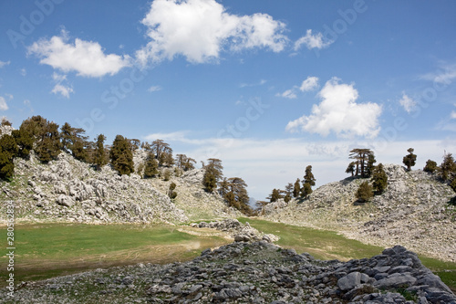 Scenic mountain landscape. Stone valley. Relict forest of Lebanon cedar. Saddle between the mountain Tahtali Mountain Range and adjacent peaks. Lycian Way, Turkey photo