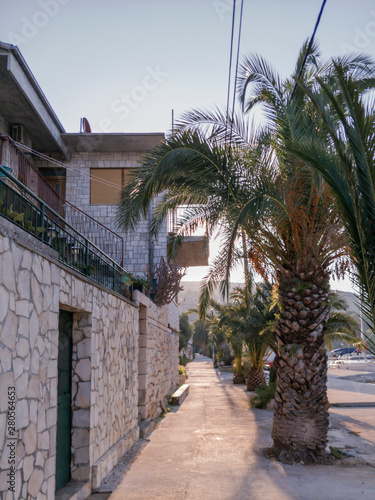 Wonderful morning at seaside with palms beside marinas catwalk. © 2STOCKista