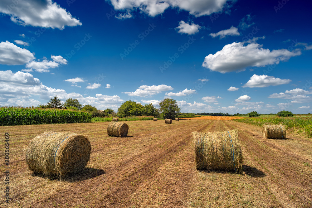 Hay bales in the field in countryside after harvest in summer	