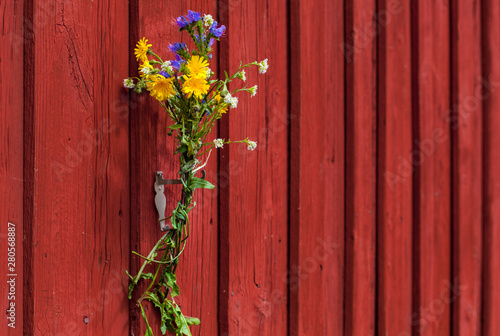 Blumenstrauß dekoriert rote Holzwand. Bouquet of flowers decorating red wooden wall.