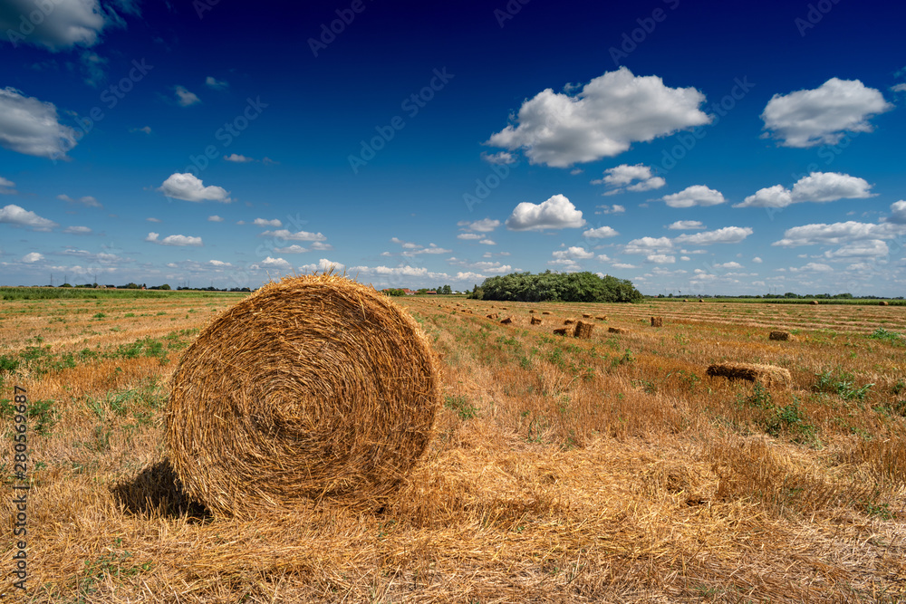 Hay bales in the field in countryside after harvest in summer Hay bales in the field in countryside after harvest in summer