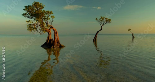 Tide raising in Walakiri beach at sunrise, a slow motion 4K clip, Sumba, Indonesia