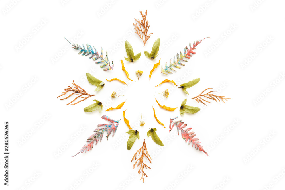 Fototapeta premium Autumn Mandala Made Of Plant Parts