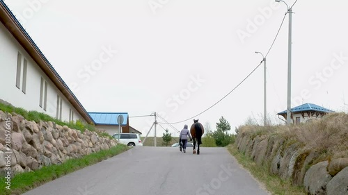 girl leads a horse. go into the distance on an asphalt road photo
