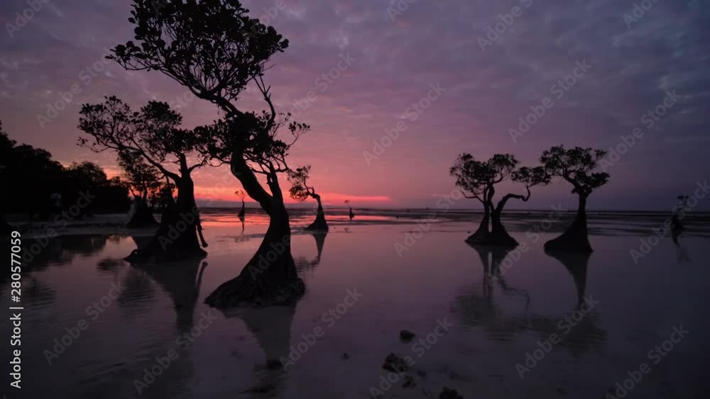 custom made wallpaper toronto digitalBeautiful dancing trees in Walakiri beach at sunset clip 4K, Sumba, Indonesia