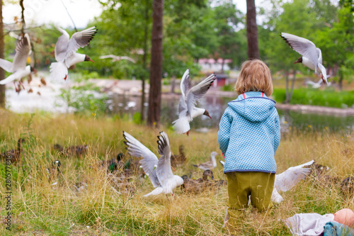 Kleines Kind füttert Möven und Enten an See. Little child feeding ducks ans seagulls. Animal and Wildlife