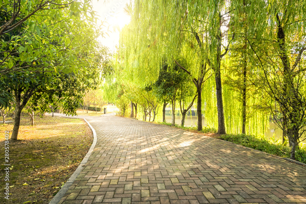 Green spring sunny city park with road and beautiful trees alley Green spring sunny city park with road and beautiful trees alley