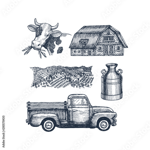 Farm objects collection. Cow farm house truck field and milk can. Vector illustration