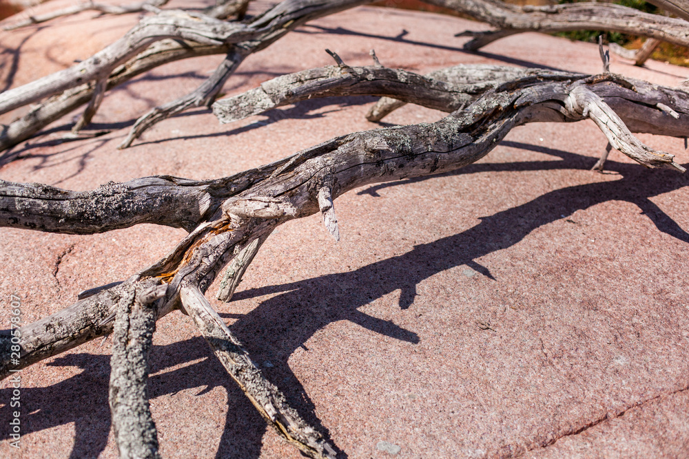 Morsche verzeigte Äste auf rotem Granitfelsen. Old and dead tree, dry twig, branch on red beach rock Morsche verzeigte Äste auf rotem Granitfelsen. Old and dead tree, dry twig, branch on red beach rock