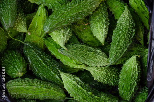 Fresh local momordica. Momordica charantia known as bitter melon, bitter gourd or balsam-pear. Bitter squash background