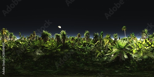 HDRI, environment map , Round panorama, spherical panorama, equidistant projection, panorama 360, night jungle © ustas