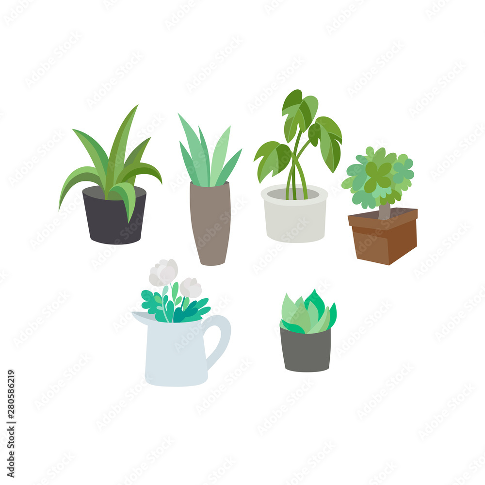 Obraz premium Indoor green potted plants and flowers set