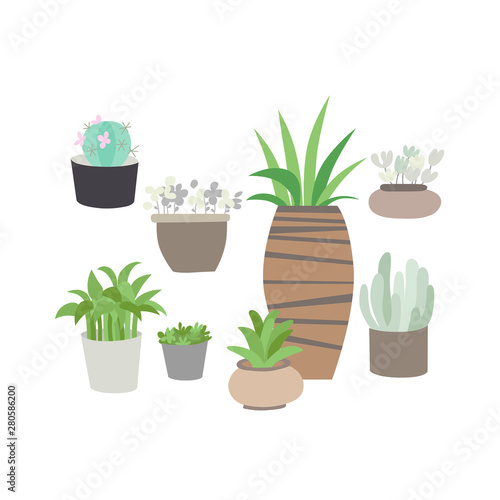  Indoor potted plants and flowers set