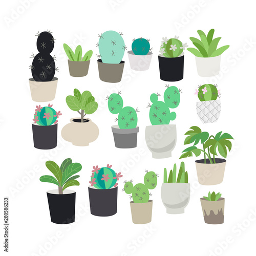 Indoor various green potted plants  flowers and cactus set