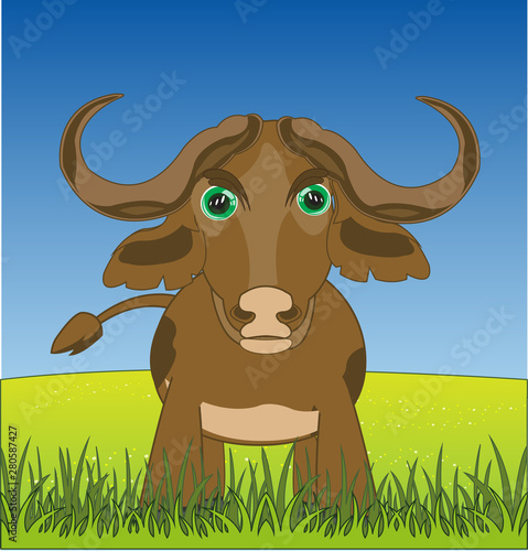 Ungulate animal buffalo on green year glade