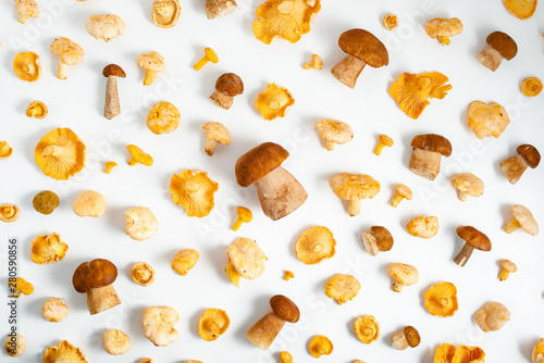 Fresh chanterelle, porcini and birch mushrooms scattered on white background, top view
