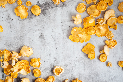 Fresh organic chanterelle mushrooms (Cantharellus cibarius) scattered over a stone background, copy space photo