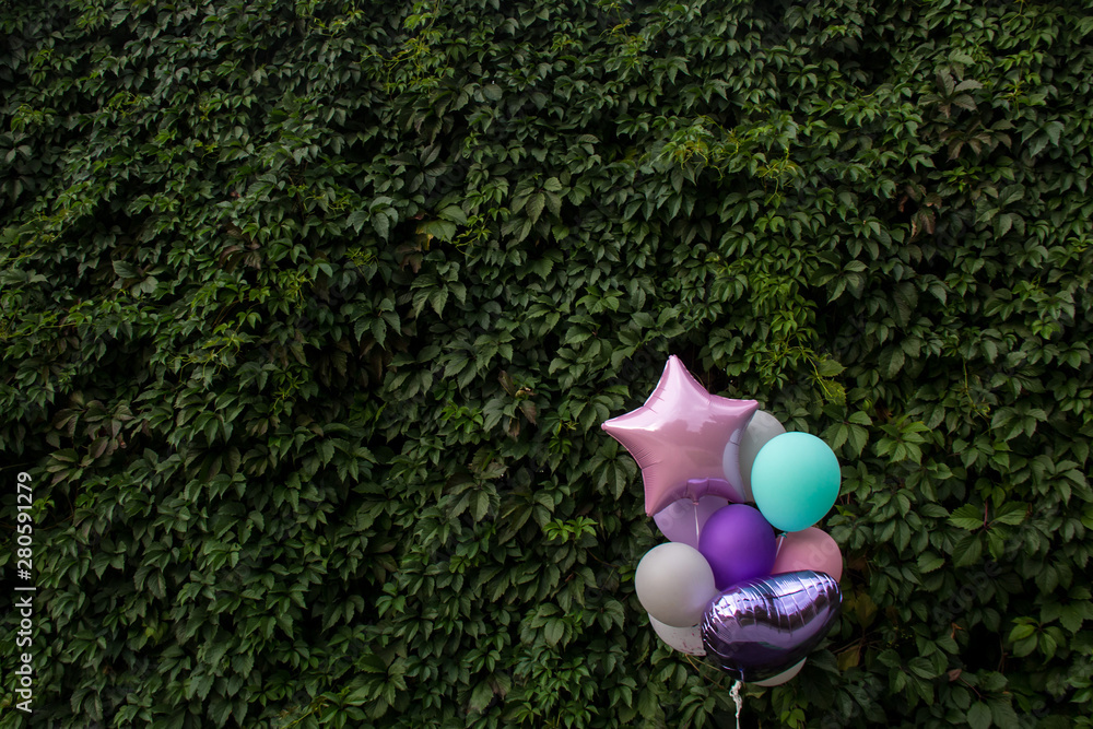 Colorful balloons on the background of green grape leaves. The concept of happy birthday in summer